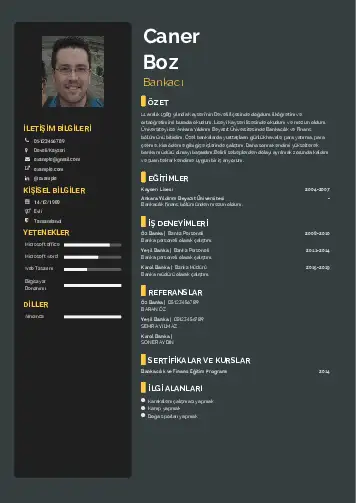 Bankacı CV Örnekleri cv indir